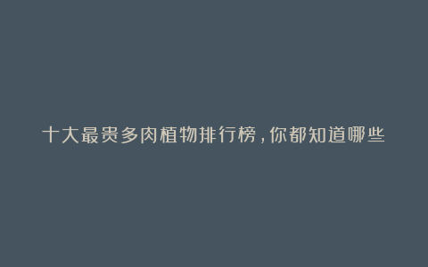 十大最贵多肉植物排行榜，你都知道哪些？不愧是价格天花板