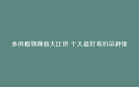 多肉植物颜值大比拼：十大最好看的品种排名，你绝对想拥有！