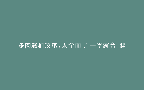 多肉栽植技术，太全面了！一学就会！（建议收藏）