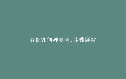 教你如何种多肉，步骤详解！