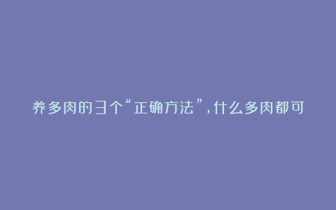 养多肉的3个“正确方法”，什么多肉都可以养好，又美又壮颜值高