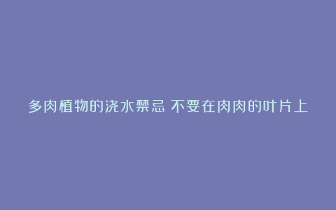 多肉植物的浇水禁忌：不要在肉肉的叶片上喷水