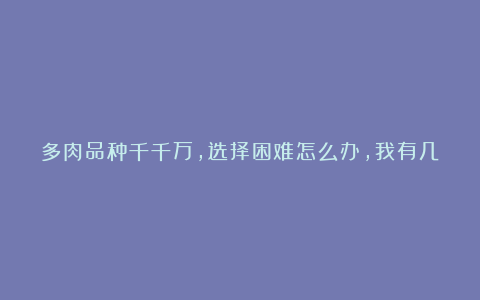 多肉品种千千万，选择困难怎么办，我有几个好推荐