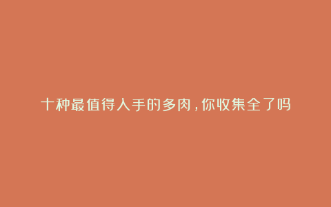 十种最值得入手的多肉，你收集全了吗