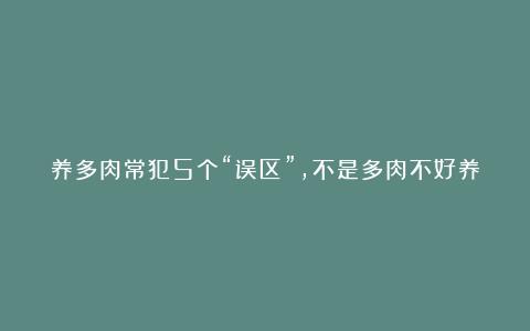 养多肉常犯5个“误区”，不是多肉不好养，而是你不了解它