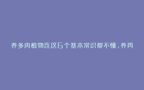 养多肉植物连这6个基本常识都不懂，养再多也是白费力气