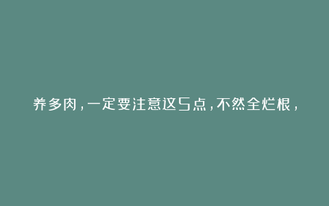 养多肉，一定要注意这5点，不然全烂根，真吃亏