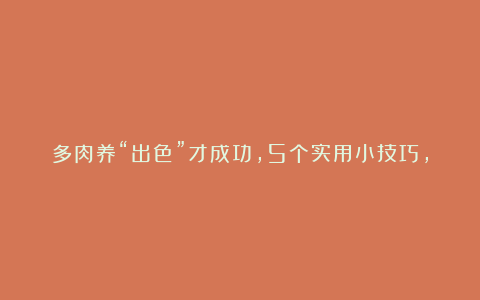 多肉养“出色”才成功，5个实用小技巧，让你的多肉大变样