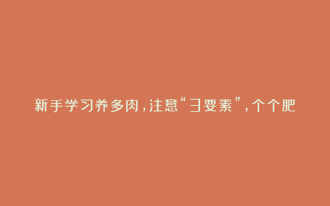 新手学习养多肉，注意“3要素”，个个肥嘟嘟，养出好状态