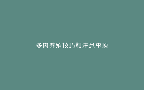 多肉养殖技巧和注意事项