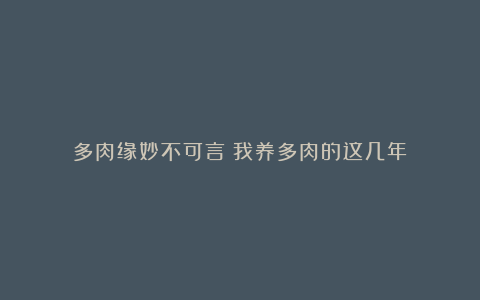 多肉缘妙不可言！我养多肉的这几年！