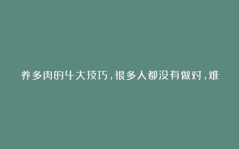 养多肉的4大技巧，很多人都没有做对，难怪一直养不好