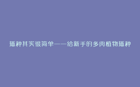 播种其实很简单——给新手的多肉植物播种教程