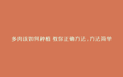 多肉该如何种植？教你正确方法，方法简单，一学就会