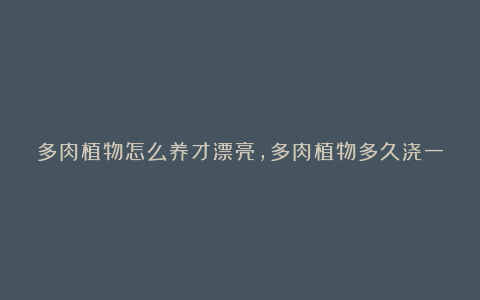 多肉植物怎么养才漂亮，多肉植物多久浇一次水