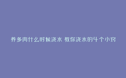 养多肉什么时候浇水？教你浇水的4个小窍门，让多肉越长越茂盛