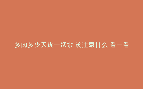 多肉多少天浇一次水？该注意什么？看一看就明白啦