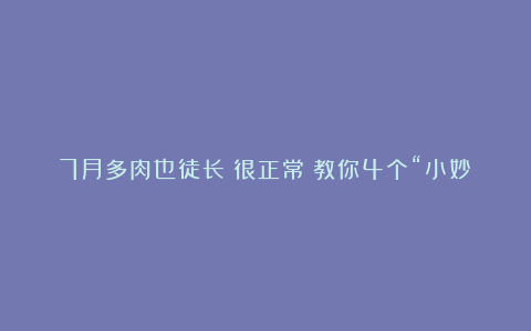 7月多肉也徒长？很正常！教你4个“小妙招”，让它又矮又胖