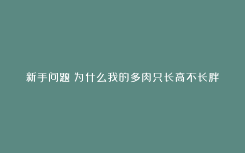 新手问题：为什么我的多肉只长高不长胖？