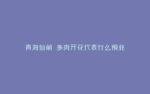 青海仙萌||多肉开花代表什么预兆？