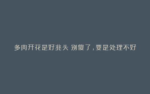 多肉开花是好兆头？别傻了，要是处理不好，小心集体“阵亡”！