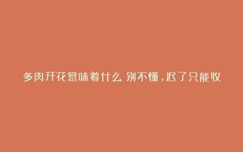 多肉开花意味着什么？别不懂，迟了只能收获一个个“空盆”