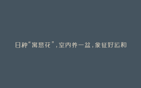 8种“寓意花”，室内养一盆，象征好运和招财，我就养了