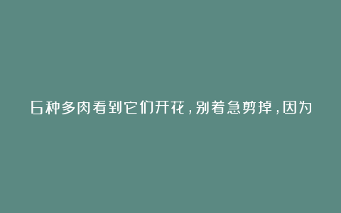 6种多肉看到它们开花，别着急剪掉，因为太难得，很少有人能见到