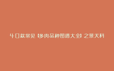 40款常见【多肉品种图谱大全】之景天科，买不到的不写