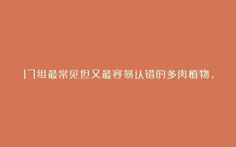 17组最常见但又最容易认错的多肉植物，你是不是也傻傻的分不开？