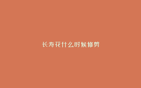 长寿花什么时候修剪