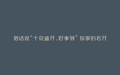 俗话说“十花盛开，好事到”！你家的若开花了，那真“恭喜了”