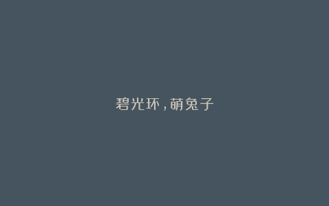 碧光环,萌兔子