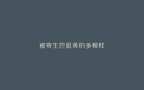 被寄生也挺美的多棱柱