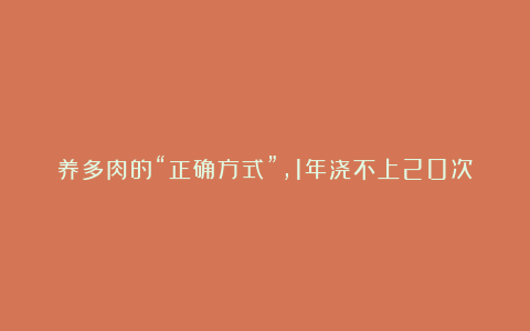 养多肉的“正确方式”，1年浇不上20次水，叶子干瘪了再浇水