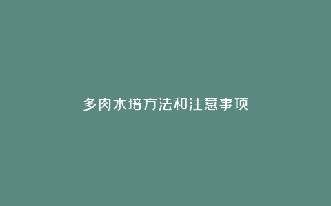 多肉水培方法和注意事项