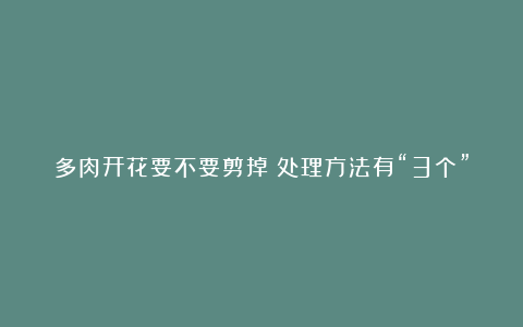 多肉开花要不要剪掉？处理方法有“3个”，养出漂亮好状态