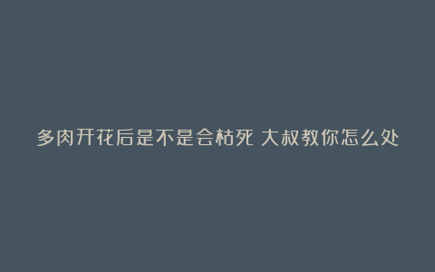 多肉开花后是不是会枯死？大叔教你怎么处理多肉开花