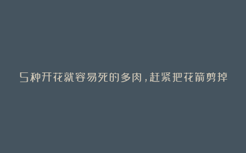 5种开花就容易死的多肉，赶紧把花箭剪掉，那样才活得久！