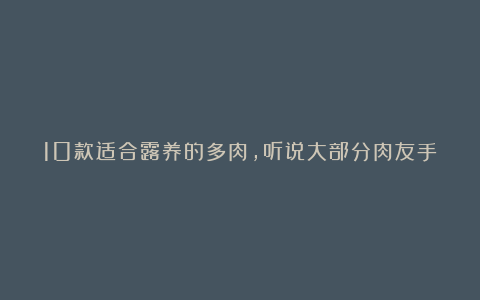 10款适合露养的多肉，听说大部分肉友手中都有！