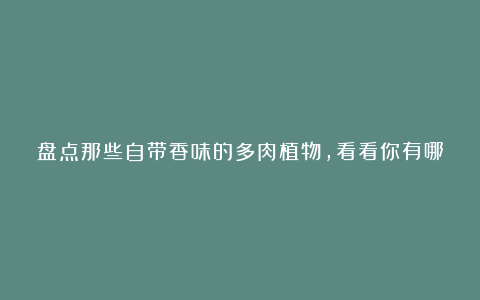 盘点那些自带香味的多肉植物，看看你有哪些？