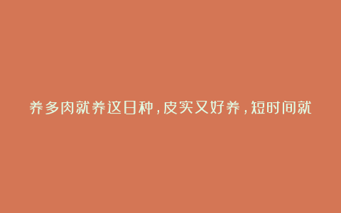 养多肉就养这8种，皮实又好养，短时间就能变老桩，出状态也很美