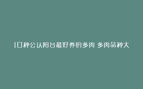 10种公认阳台最好养的多肉（多肉品种大全）