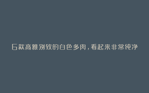 6款高雅别致的白色多肉，看起来非常纯净，处处透露着仙气，真美