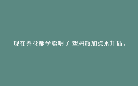 现在养花都学聪明了！塑料瓶加点水扦插，成活率高，蹭蹭冒根