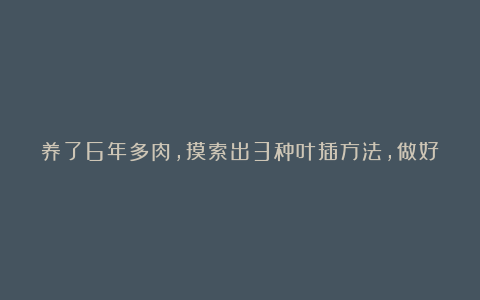 养了6年多肉，摸索出3种叶插方法，做好了成活率不低