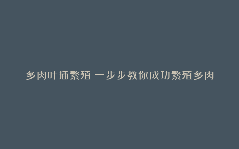 多肉叶插繁殖：一步步教你成功繁殖多肉