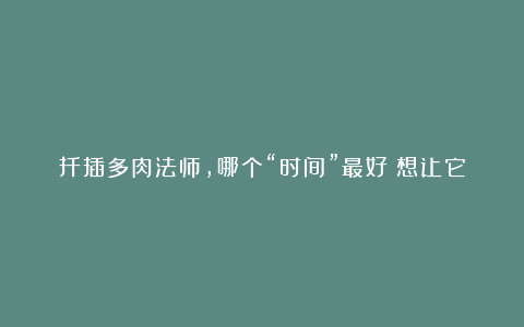 扦插多肉法师，哪个“时间”最好？想让它快速成活，一定要选对