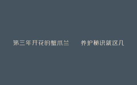 第三年开花的蟹爪兰   养护秘诀就这几点