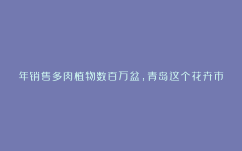 年销售多肉植物数百万盆，青岛这个花卉市场了不得